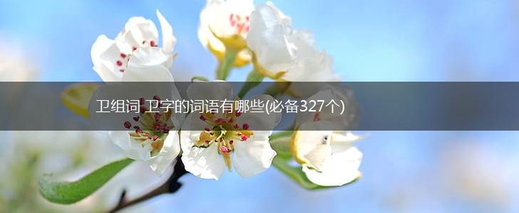 卫组词 卫字的词语有哪些(必备327个),第1张