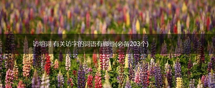 访组词 有关访字的词语有哪些(必备203个),第1张