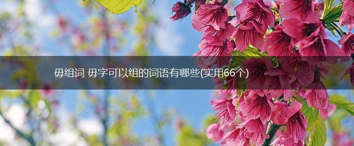 毋组词 毋字可以组的词语有哪些(实用66个),第1张