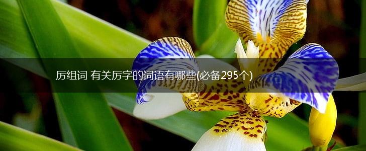 厉组词 有关厉字的词语有哪些(必备295个),第1张