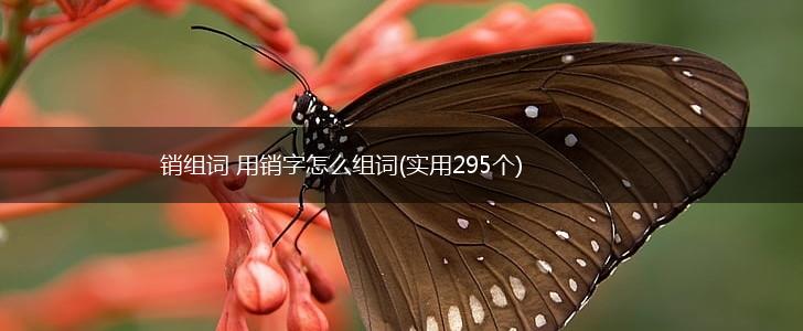 销组词 用销字怎么组词(实用295个),第1张
