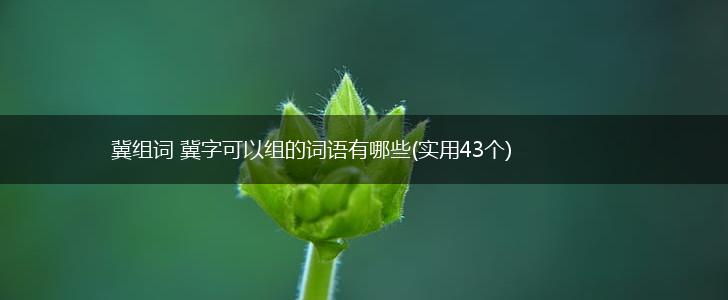 冀组词 冀字可以组的词语有哪些(实用43个),第1张 冀组词 冀字可以组的词语有哪些(实用43个),第1张