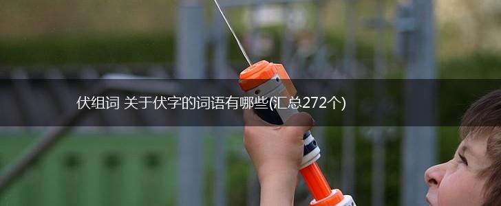 伏组词 关于伏字的词语有哪些(汇总272个),第1张