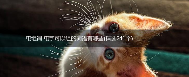屯组词 屯字可以组的词语有哪些(精选241个),第1张