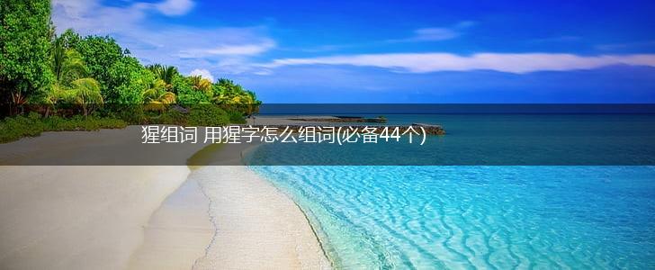 猩组词 用猩字怎么组词(必备44个),第1张
