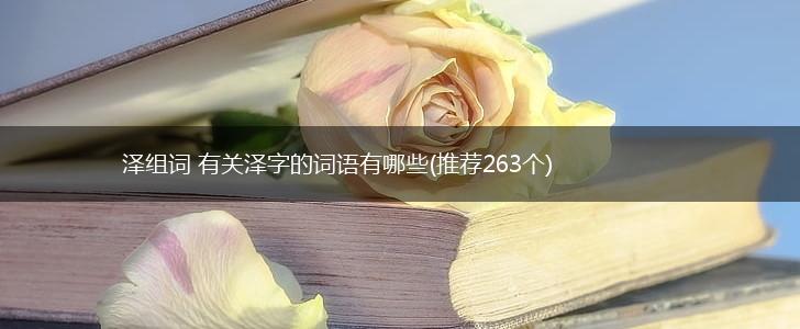 泽组词 有关泽字的词语有哪些(推荐263个),第1张