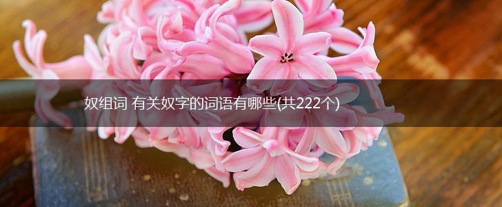 奴组词 有关奴字的词语有哪些(共222个),第1张