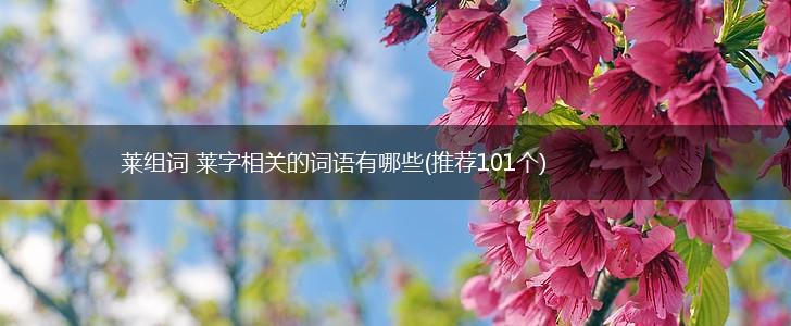 莱组词 莱字相关的词语有哪些(推荐101个),第1张
