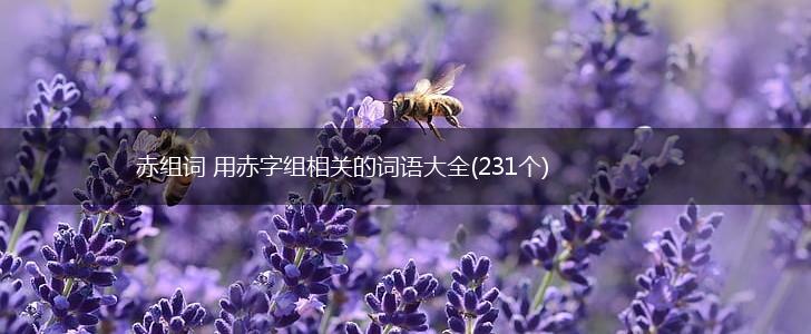 赤组词 用赤字组相关的词语大全(231个),第1张