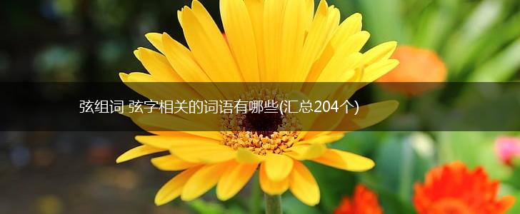 弦组词 弦字相关的词语有哪些(汇总204个),第1张