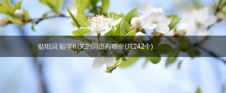 贴组词 贴字相关的词语有哪些(共242个),第1张
