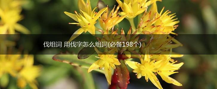 伐组词 用伐字怎么组词(必备198个),第1张