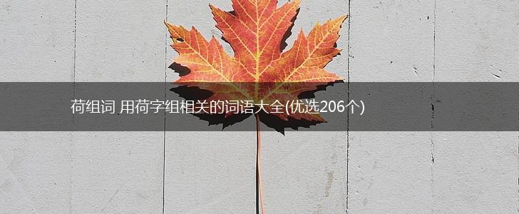 荷组词 用荷字组相关的词语大全(优选206个),第1张