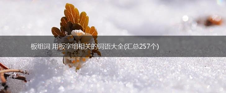 板组词 用板字组相关的词语大全(汇总257个),第1张