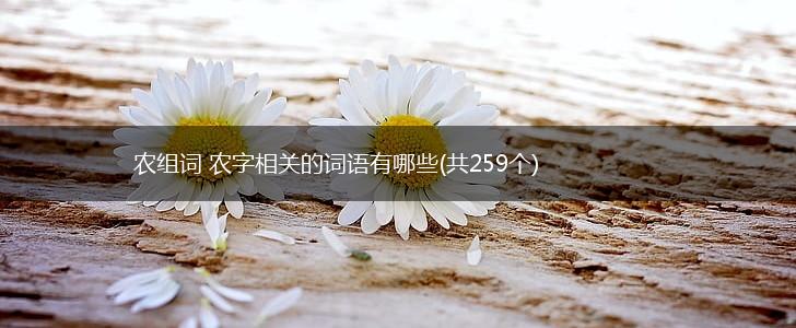 农组词 农字相关的词语有哪些(共259个),第1张