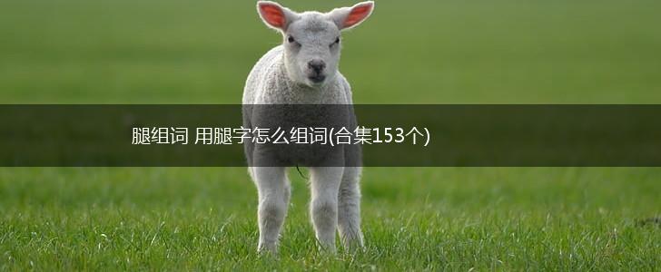 腿组词 用腿字怎么组词(合集153个),第1张