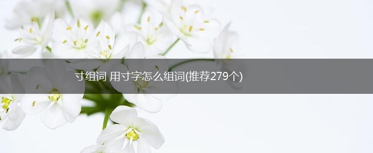 寸组词 用寸字怎么组词(推荐279个),第1张