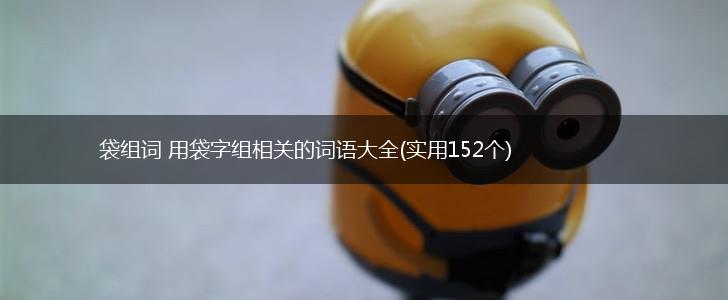 袋组词 用袋字组相关的词语大全(实用152个),第1张