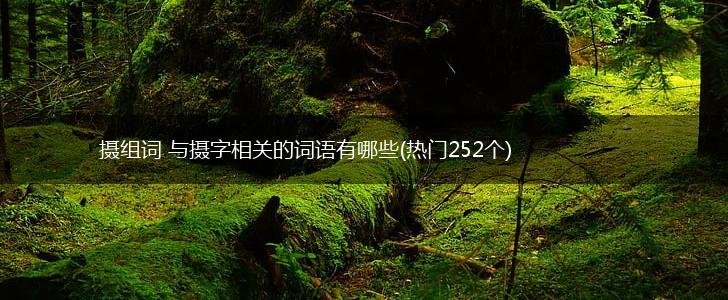 摄组词 与摄字相关的词语有哪些(热门252个),第1张