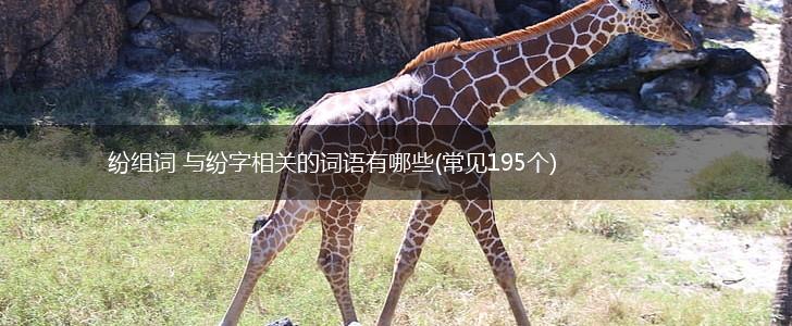 纷组词 与纷字相关的词语有哪些(常见195个),第1张