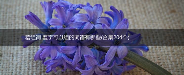 羞组词 羞字可以组的词语有哪些(合集204个),第1张