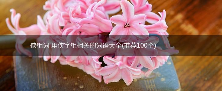 侠组词 用侠字组相关的词语大全(推荐100个),第1张