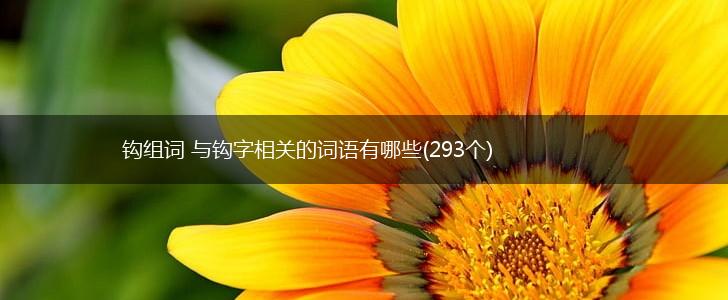 钩组词 与钩字相关的词语有哪些(293个),第1张