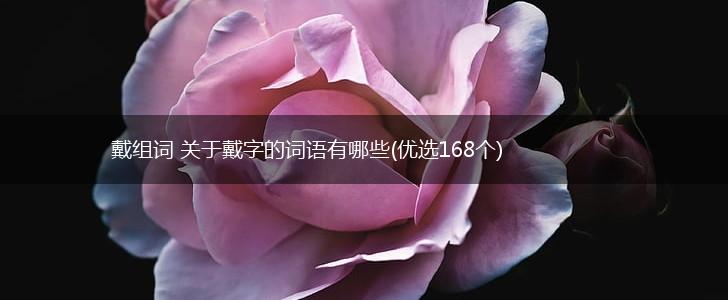 戴组词 关于戴字的词语有哪些(优选168个),第1张