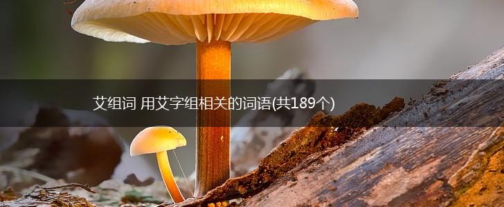 艾组词 用艾字组相关的词语(共189个),第1张