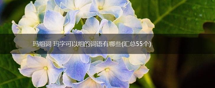玛组词 玛字可以组的词语有哪些(汇总55个),第1张