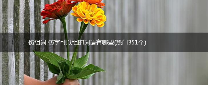 伤组词 伤字可以组的词语有哪些(热门351个),第1张