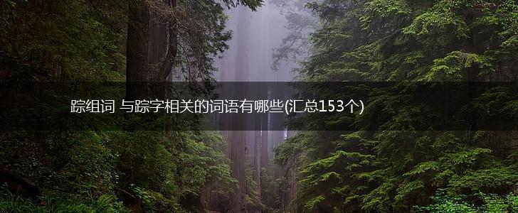 踪组词 与踪字相关的词语有哪些(汇总153个),第1张