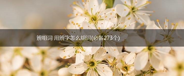 辨组词 用辨字怎么组词(必备273个),第1张