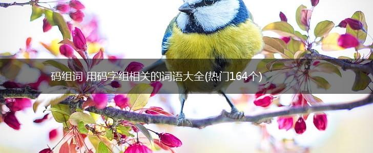 码组词 用码字组相关的词语大全(热门164个),第1张