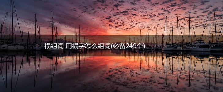 损组词 用损字怎么组词(必备249个),第1张