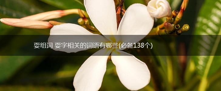 耍组词 耍字相关的词语有哪些(必备138个),第1张