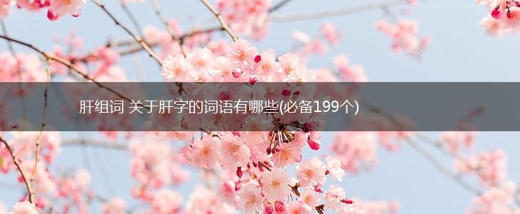 肝组词 关于肝字的词语有哪些(必备199个),第1张