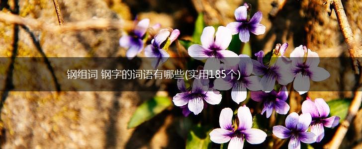 钢组词 钢字的词语有哪些(实用185个),第1张