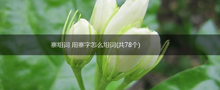 寨组词 用寨字怎么组词(共78个),第1张