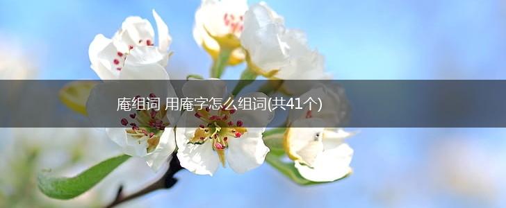 庵组词 用庵字怎么组词(共41个),第1张 庵组词 用庵字怎么组词(共41个),第1张