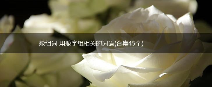 舱组词 用舱字组相关的词语(合集45个),第1张