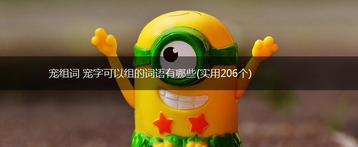 宠组词 宠字可以组的词语有哪些(实用206个),第1张