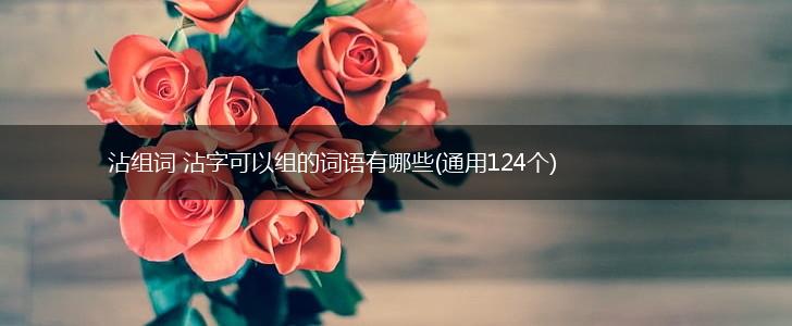 沾组词 沾字可以组的词语有哪些(通用124个),第1张