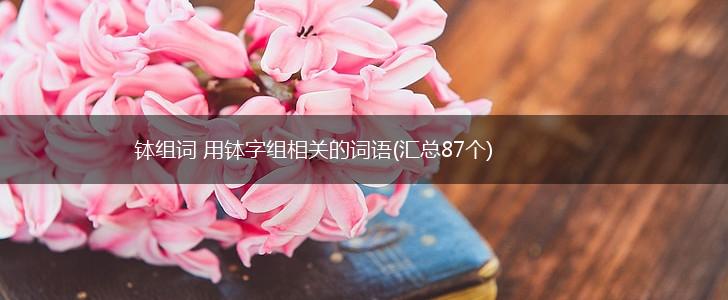 钵组词 用钵字组相关的词语(汇总87个),第1张
