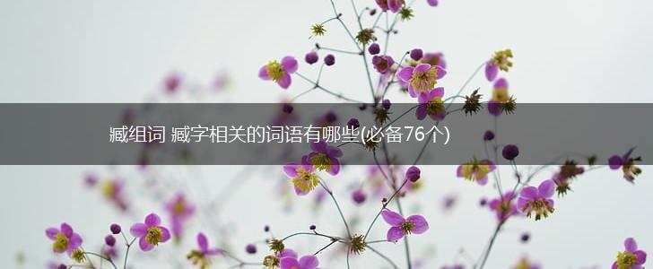 臧组词 臧字相关的词语有哪些(必备76个),第1张