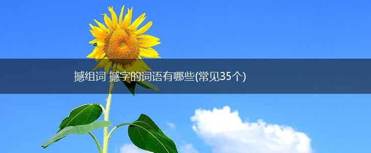 撼组词 撼字的词语有哪些(常见35个),第1张