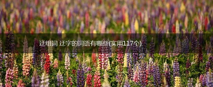 迂组词 迂字的词语有哪些(实用117个),第1张