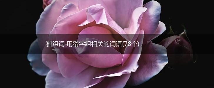 猾组词 用猾字组相关的词语(78个),第1张