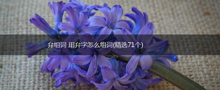 弁组词 用弁字怎么组词(精选71个),第1张