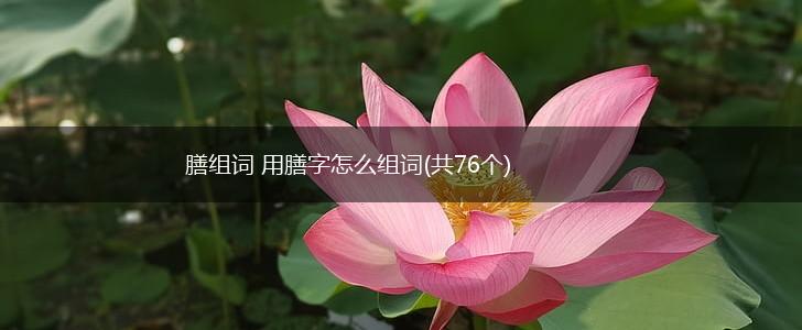 膳组词 用膳字怎么组词(共76个),第1张
